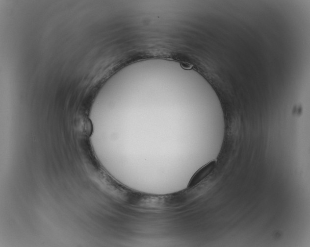 X0000111230084200907091345
