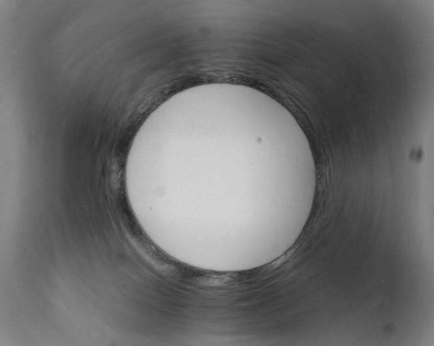 X0000111230086200907091345