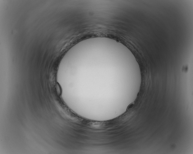 X0000111230088200907091345