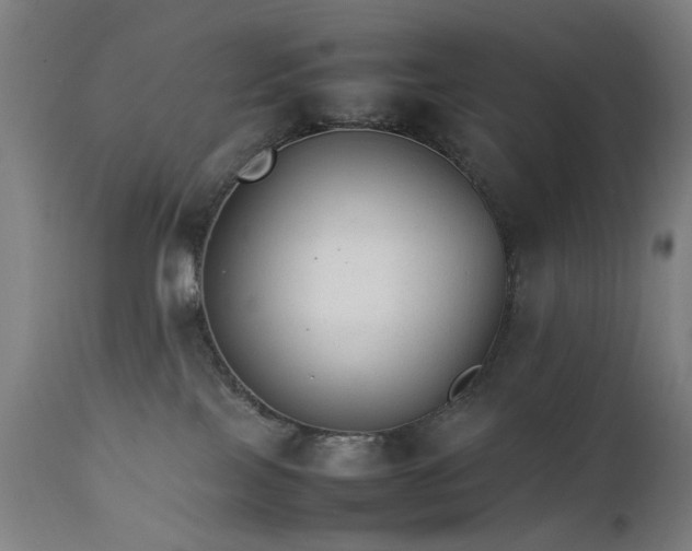 X0000111230089200907091346