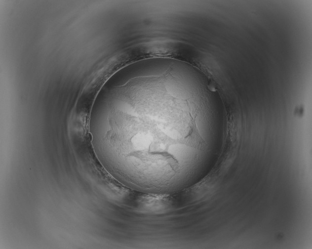 X0000111230093200907091346