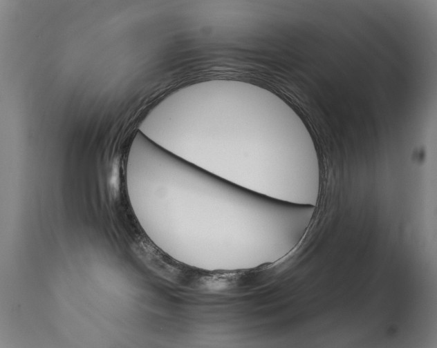 X0000111230094200907091346