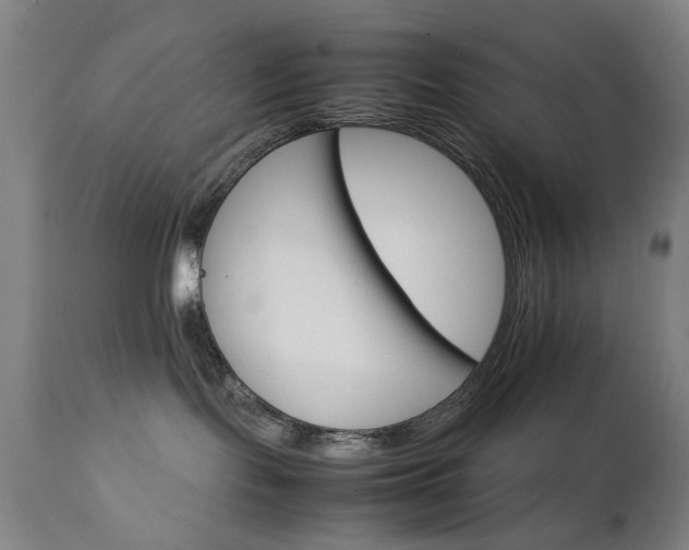 X0000111230095200907091346