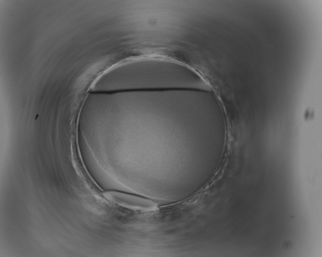 X0000111230097200907091345