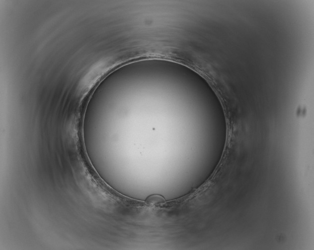 X0000111230098200907091345