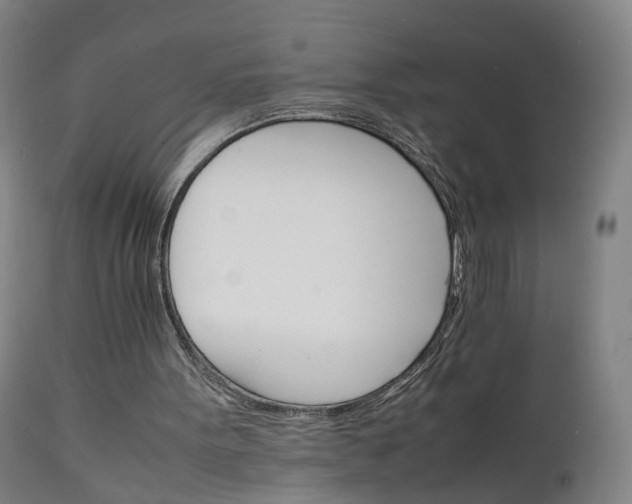 X0000111230099200907091345