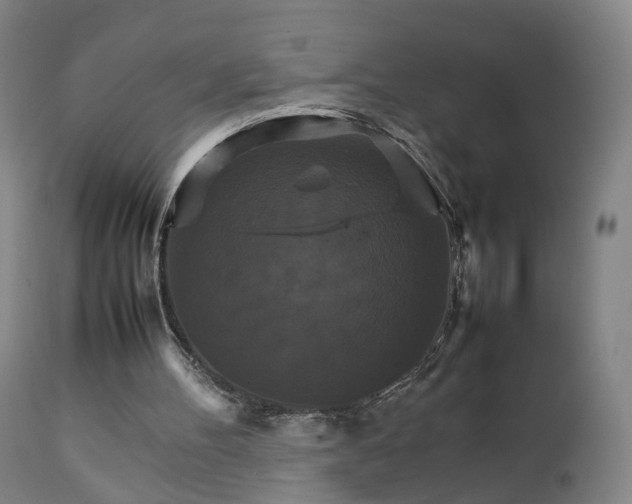 X0000111230100200907091345