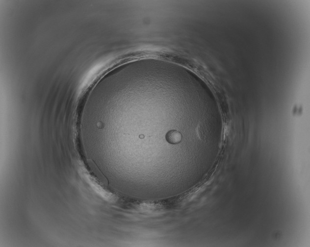 X0000111230101200907091345