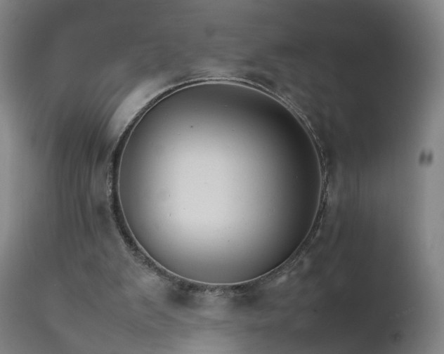 X0000111230103200907091345
