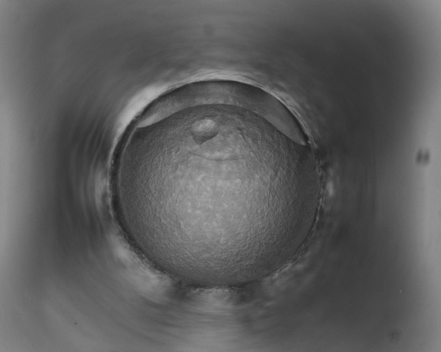 X0000111230104200907091345
