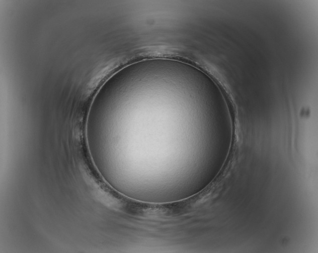 X0000111230105200907091345