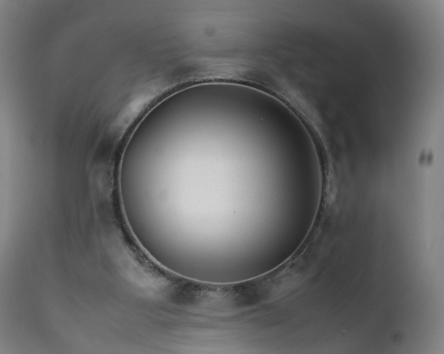 X0000111230107200907091345