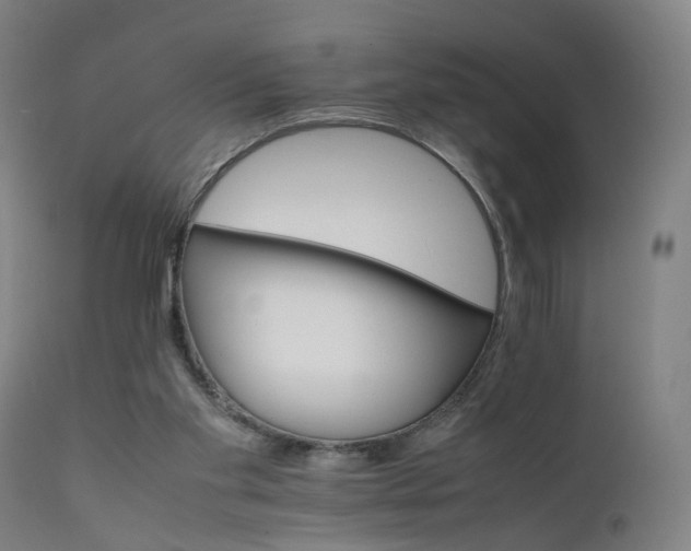 X0000111230109200907091345