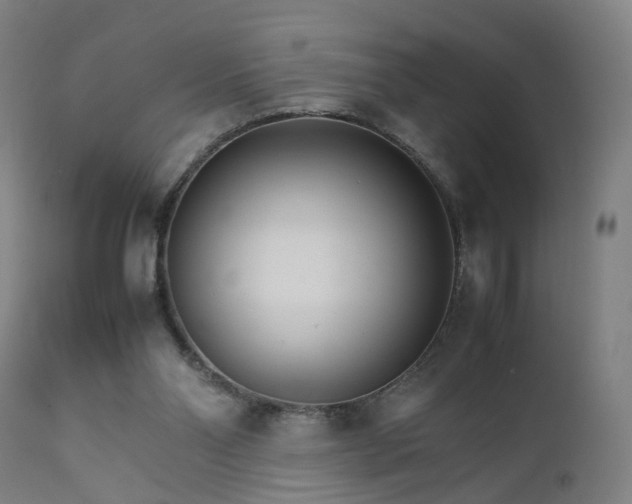 X0000111230110200907091345