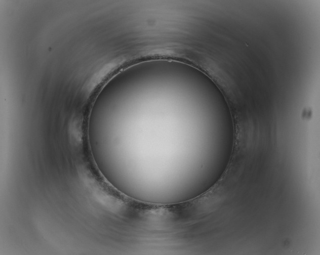 X0000111230112200907091345