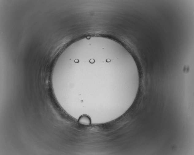 X0000111230115200907091345
