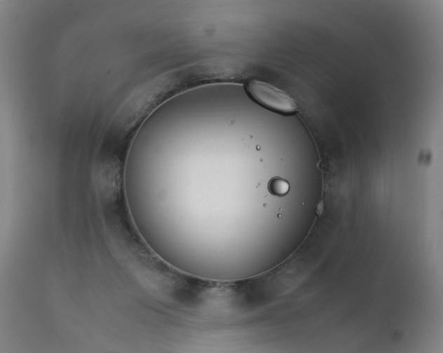 X0000111230119200907091345