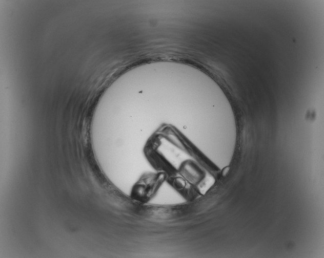 X0000111230121200907091345