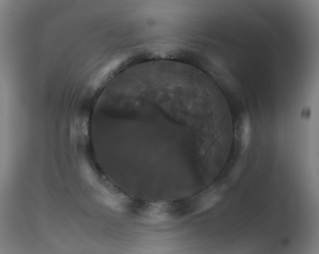 X0000111230127200907091345