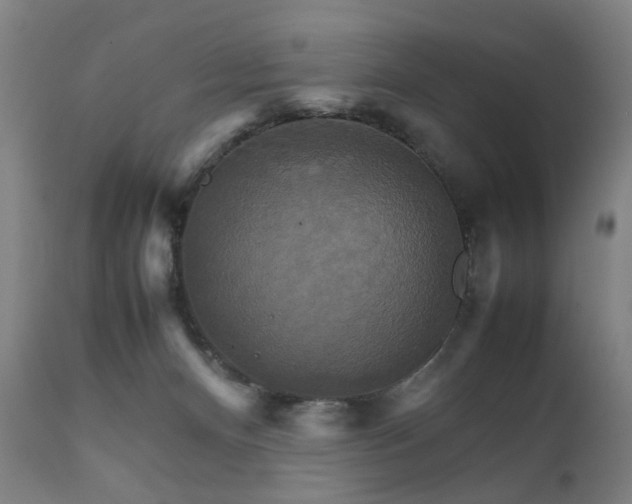 X0000111230128200907091345