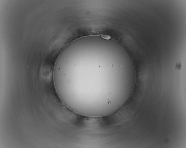 X0000111230129200907091345
