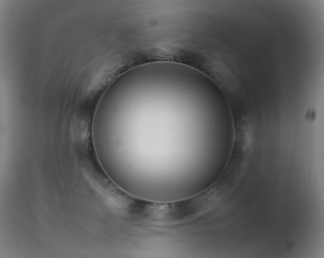 X0000111230131200907091344