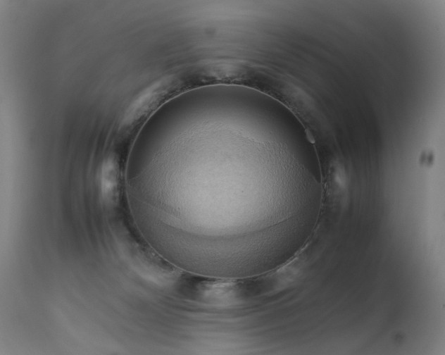 X0000111230132200907091344