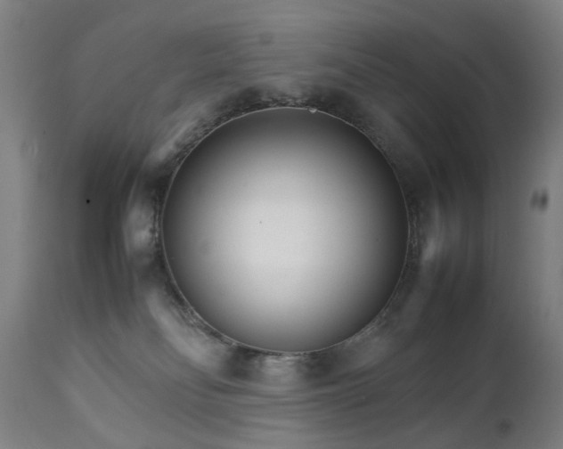 X0000111230134200907091344