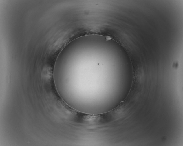 X0000111230135200907091344
