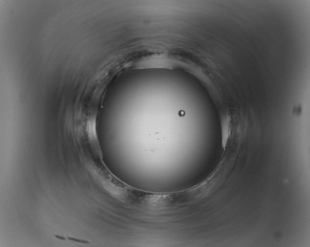 X0000111230136200907091344