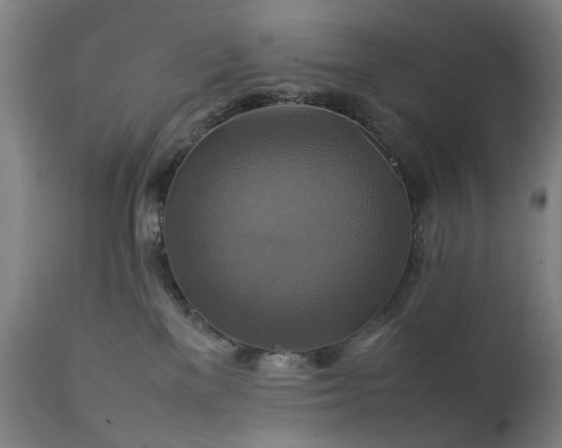 X0000111230137200907091344