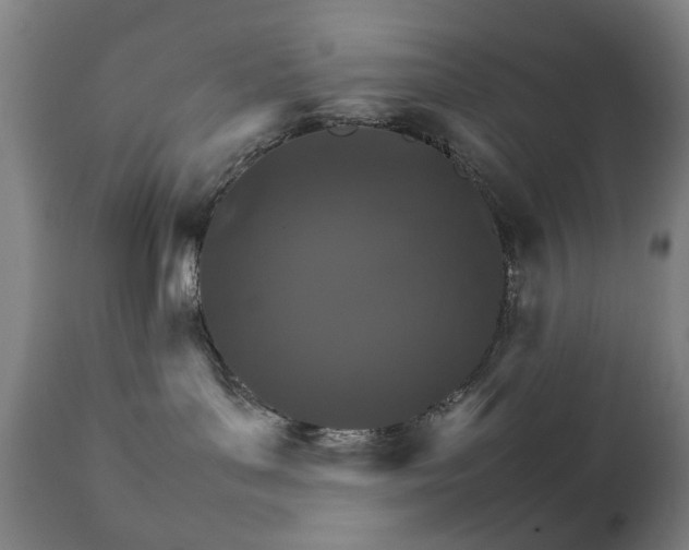 X0000111230143200907091344