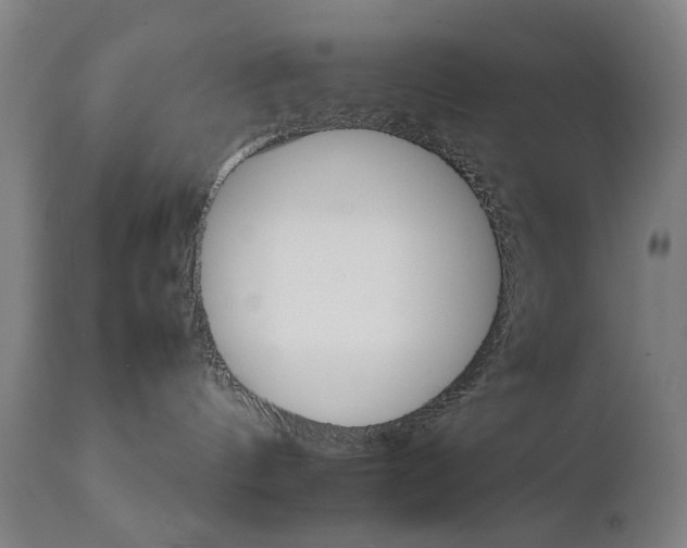 X0000111230144200907091344
