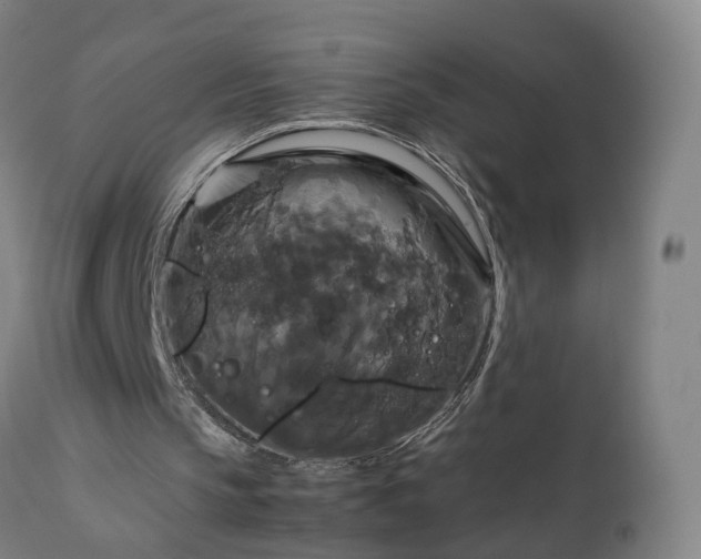 X0000111230145200907091343