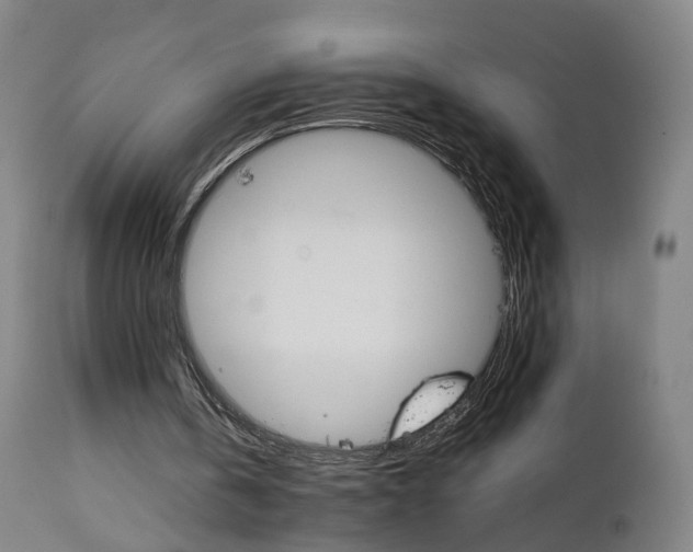 X0000111230146200907091343
