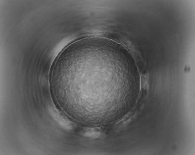 X0000111230147200907091343