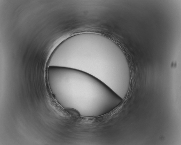 X0000111230148200907091343