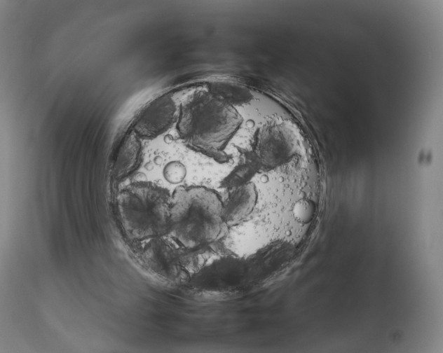 X0000111230149200907091343