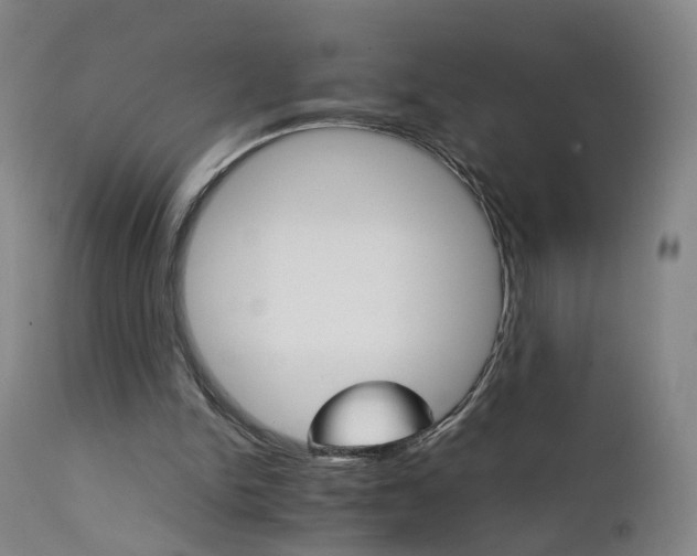 X0000111230150200907091343