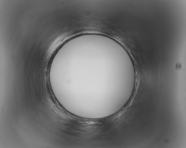 X0000111230151200907091343