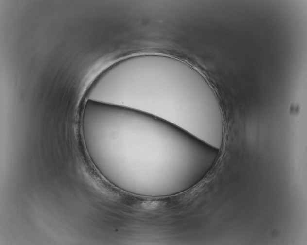 X0000111230152200907091343