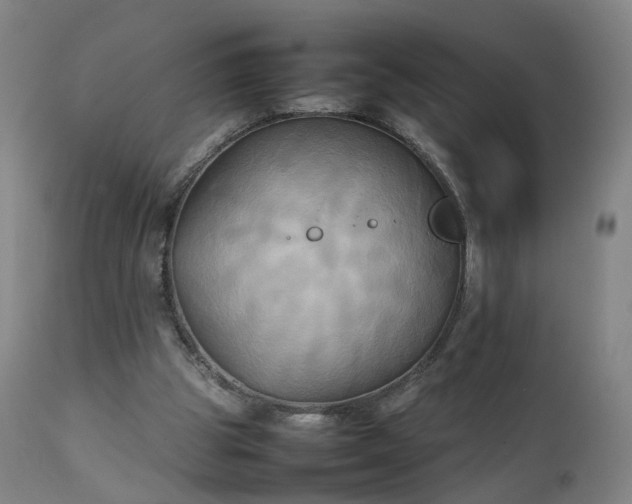 X0000111230153200907091343