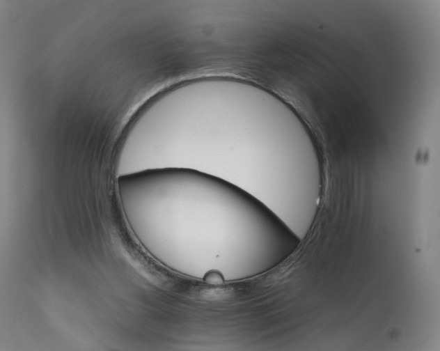 X0000111230156200907091343