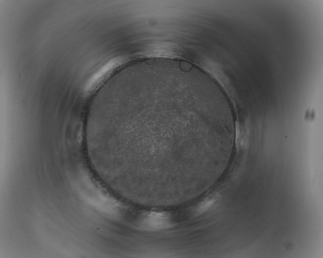 X0000111230157200907091343