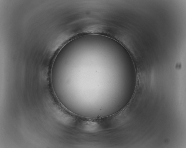 X0000111230159200907091343
