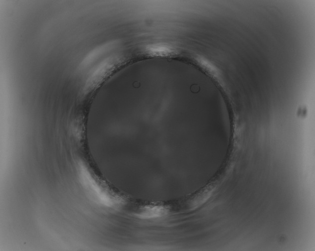 X0000111230161200907091344