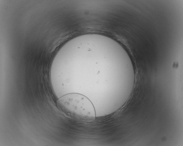 X0000111230162200907091344
