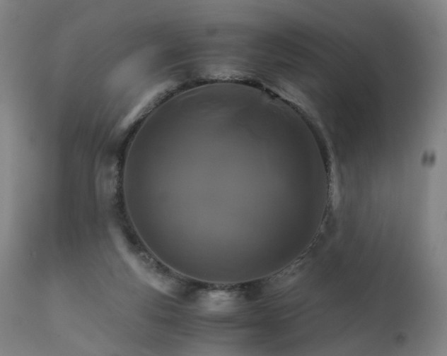 X0000111230163200907091344