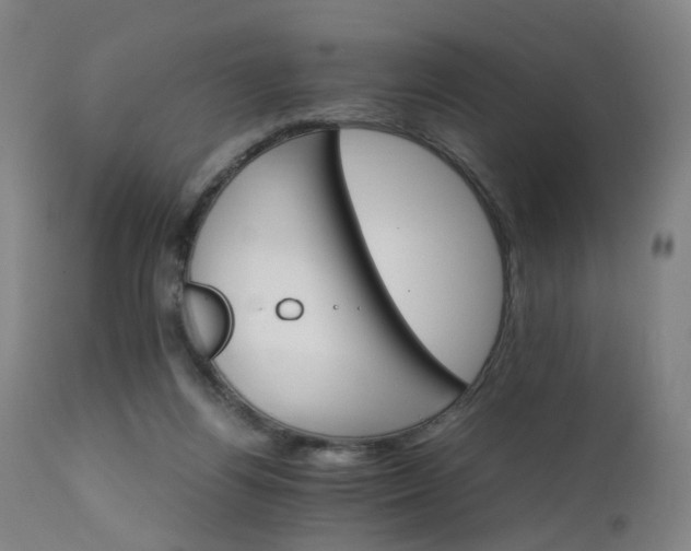 X0000111230164200907091344