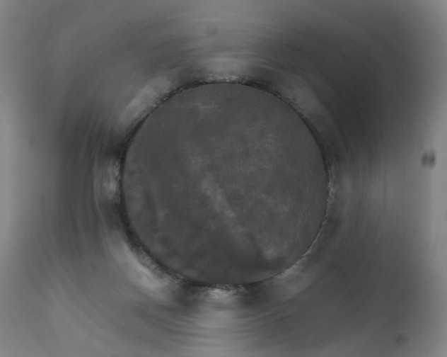 X0000111230166200907091344